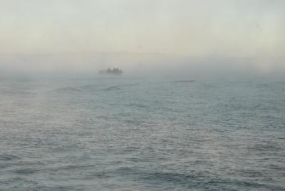 432148E3-7C1D-44E1-8FF5-88058E0C87CC