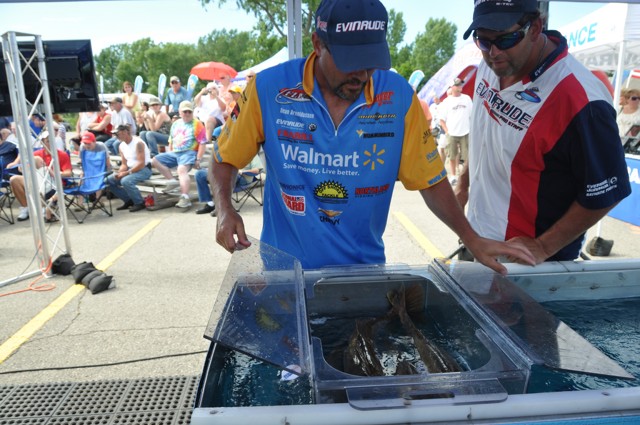 43B04E77-EC97-40A1-A6B3-B6D390179560