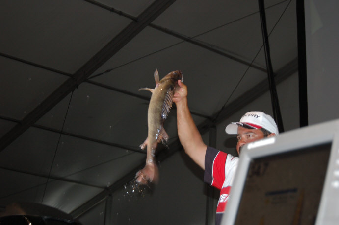 46785FA0-D14F-41FB-93B1-3102B4A12E78