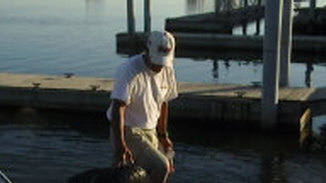 4C898794-6BAD-4A24-87CF-319C37384C9C