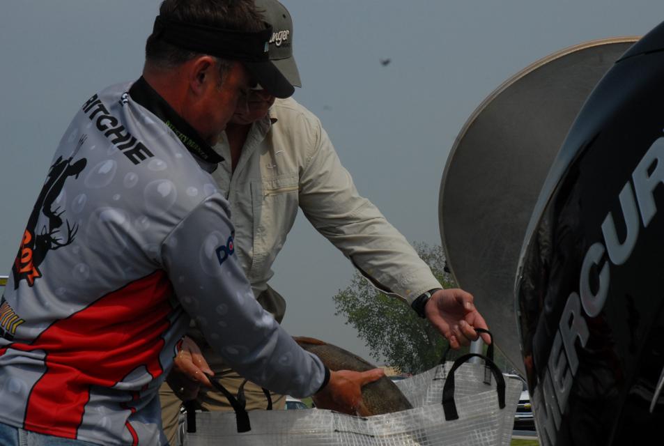 4D1B82EF-B210-4FD1-8DC8-5779D61D2338