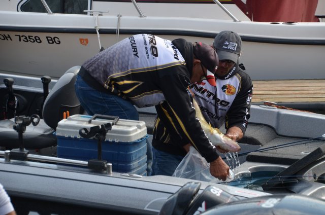 4D8D5C01-A9EE-4D76-B11F-AF1ED1537E0B