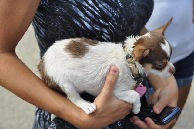 4F437C16-4B7B-40E9-BE9B-FFC900A99498