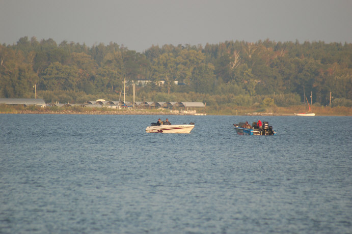 7313B08D-EA06-421B-B9F5-CA871C7E37E0