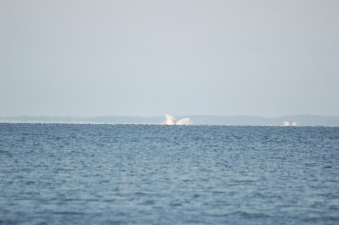 76EA1716-7EEA-4783-9A59-84AA5E7D5CCC