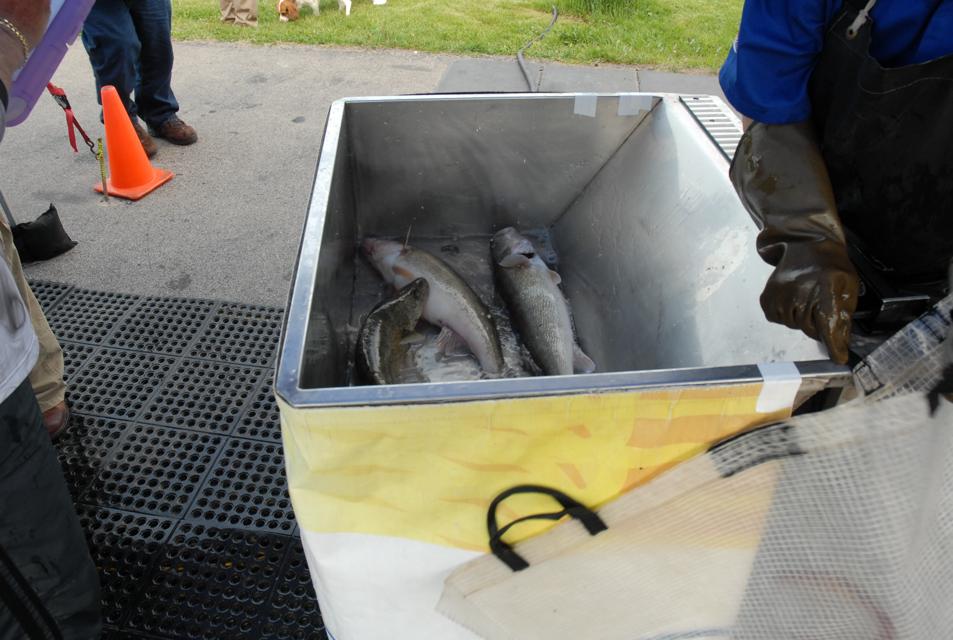 7AE76628-9FD8-4544-A1FD-11B052B3B1CA