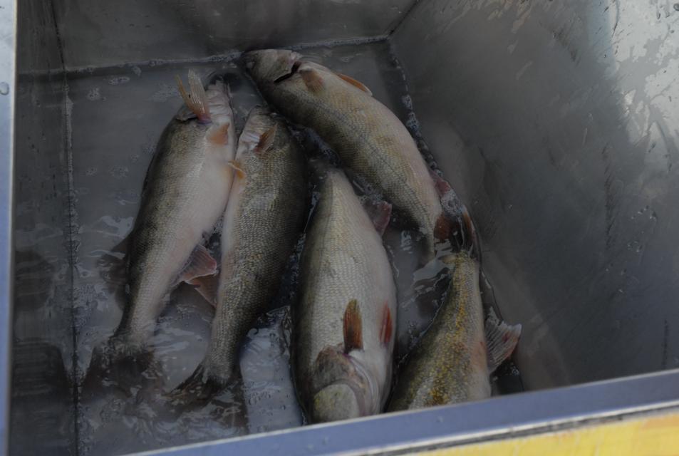 7F02C1DF-8048-4A74-AB96-BA8F77BBE7CC