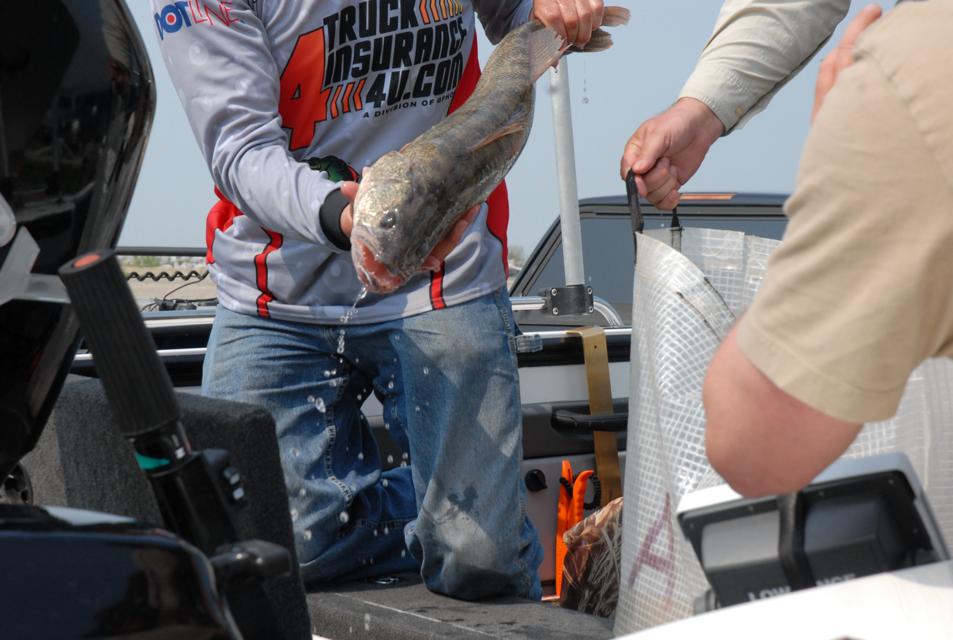 7F2C127B-2112-439E-9FCB-AE13686EEAF8