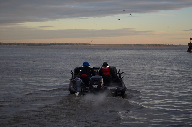 94AE8F7C-AF9D-4701-9C1A-662E00CD38A1