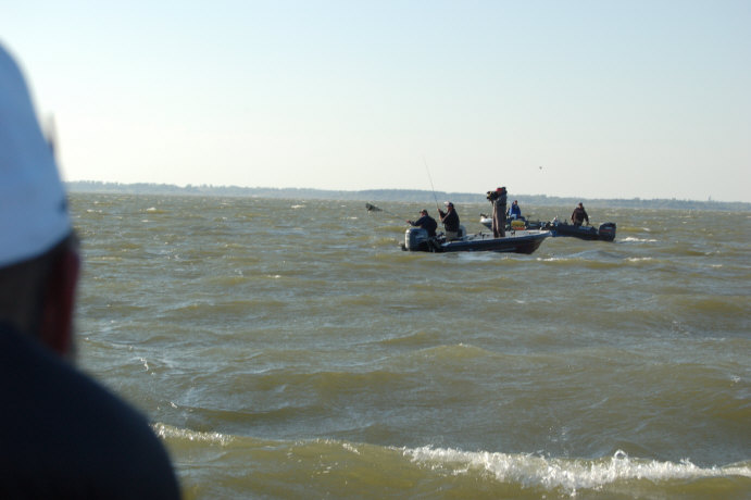 9AD9E881-C543-406D-91CF-E0B5DC3F8B1E