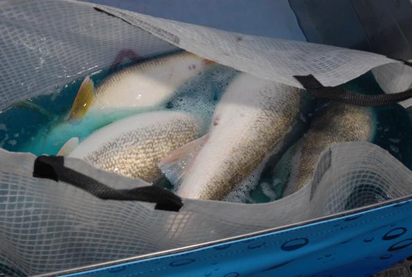 B4537853-4A9B-4CF4-A80C-D9FD4388D2E2