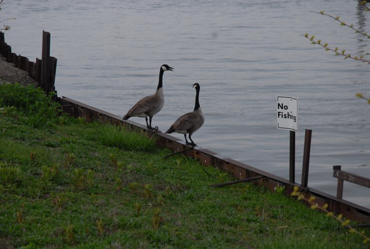 B7389FCB-6899-492A-92BF-84981242E625