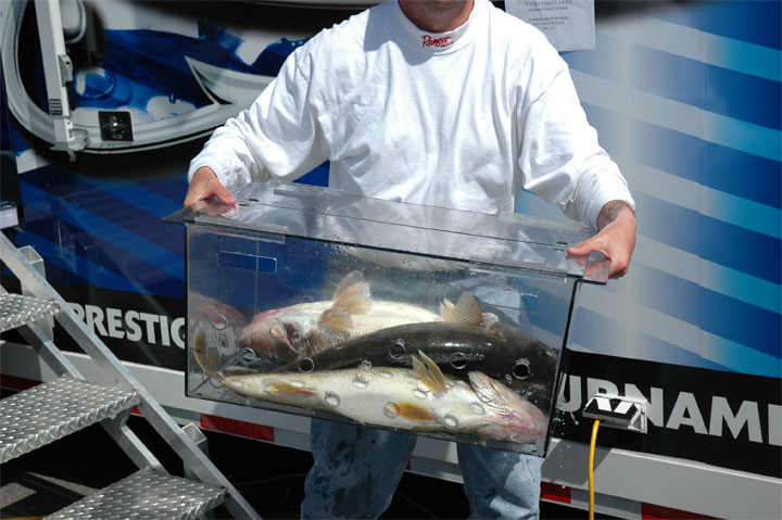 D2CBEC23-40A8-411C-8D08-DBF2F9E91F32