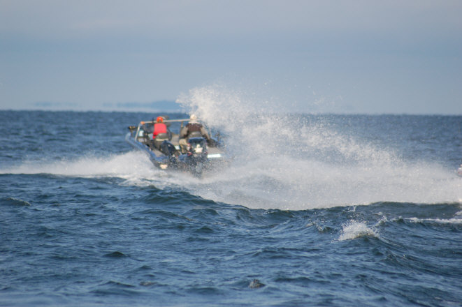 D51C98E9-FEA7-4283-B3D4-DB1006E9F8F0