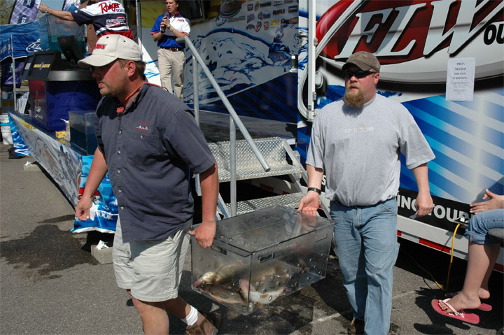 D6AEA549-E4DA-4DE3-97B4-4B079032C457