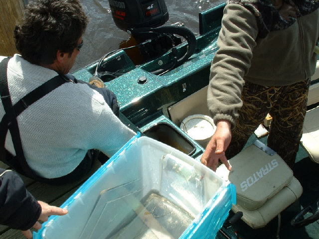 D9AE8A1E-373F-4C29-957F-36E8B88BDA9D