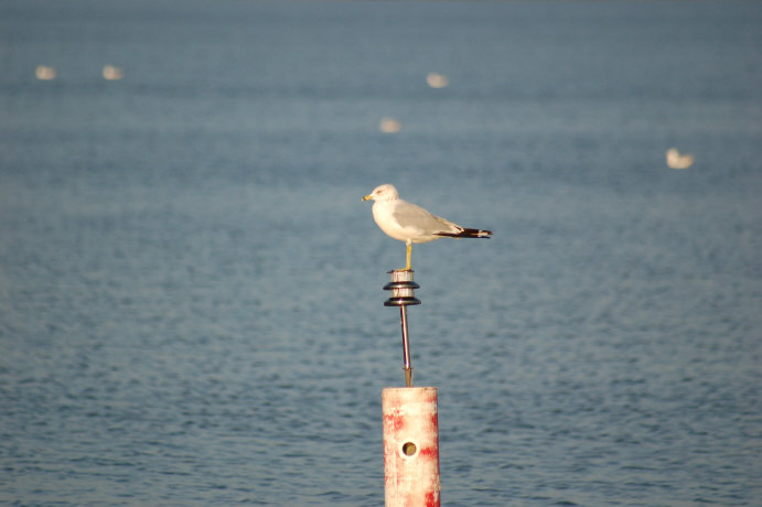 E121E0F7-9266-4B97-A460-2573A6B6AB80