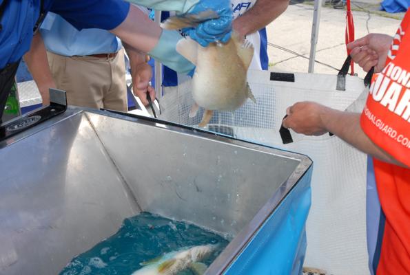 E31C7621-F2E5-43CC-8FD3-62017744D9F1