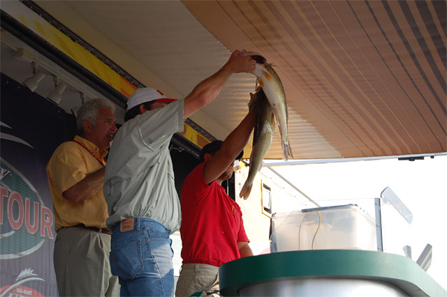 E4241973-DEC9-454D-BE45-04AADAD7A44C