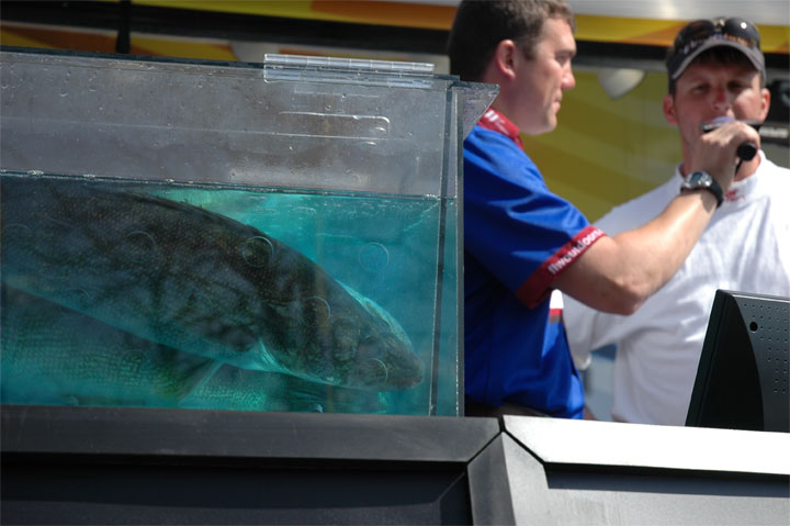 EB4FD7CB-CD03-483E-BAEB-B6DE77E0FE21