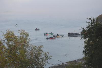 ED536942-C68B-49E9-8538-77DBFD337609