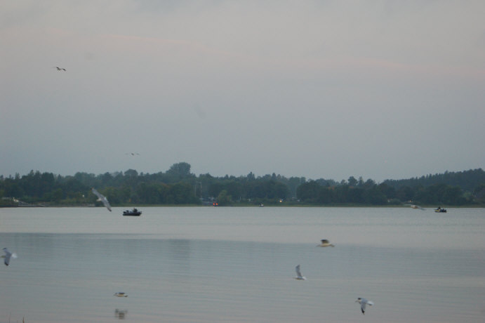 F889C8B4-CEBC-4087-997C-F5265461EF52