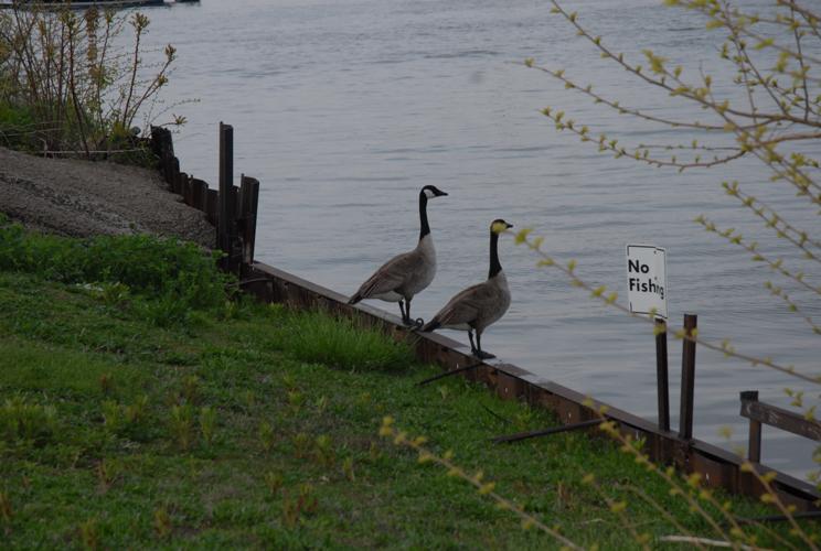 FA200749-446A-4C05-95E1-03CBDB7A317C