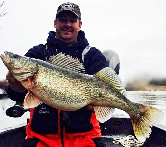 Pitch Plastics Like a Plumber WalleyeFIRST