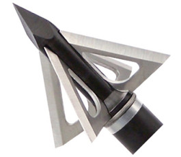 5542DE70-AD90-4C12-ADB3-8CD3D392AFA6