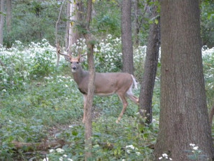 0524BF08-5827-409A-88A1-AD0FDE3371AF