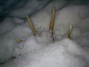 0A7E66EC-B98A-4363-A8B4-FC1915B7408E