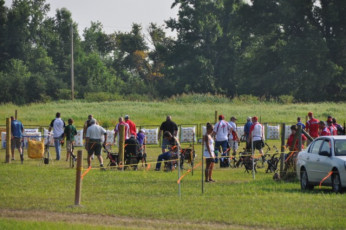 0FDCD26B-9DB1-47CD-81D5-E42360C40029