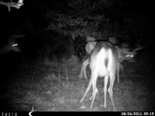 133425B7-01D1-49C7-8673-8064D02A844C