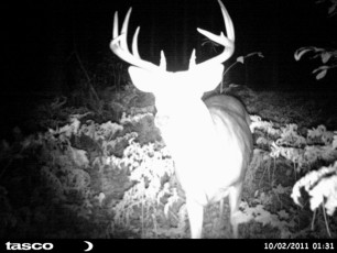 139D54B6-C4B4-49A7-A3B5-731DA2F05EE1