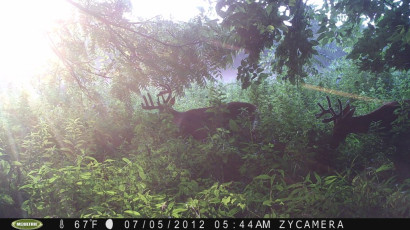 P251-256-258-557-03h-006-02-0360-1080-0359-1079