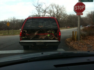 16A1C43E-8972-4914-A780-AE3E6C30869B