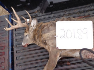 22F23D25-C99D-40AA-A6BF-FABF4E594EFC