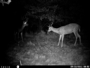 26B29D67-A442-4FC8-9823-C23F3EBAA8BE