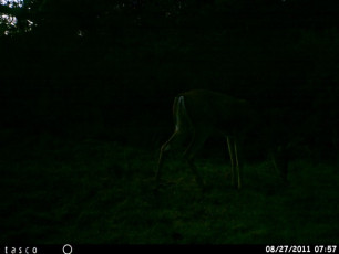 2730D6ED-321A-421E-8352-CA56FD41DEE1