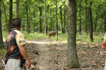 27392348-2EA4-4DB8-843E-D5312BAE3602