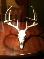 2E64EC98-D982-45A5-89A9-A7A8A8C2C75D