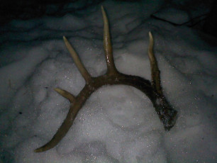 35927D8D-01E2-4067-B641-28C70BABF826