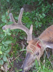 3AD0AE86-DC4F-46AD-A898-8F49AB46332F