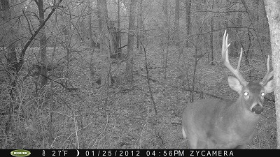 P088-256-256-256-39h-003-00-0360-1080-0359-1079