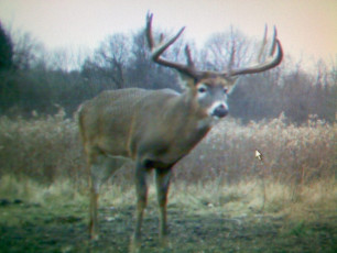 5103B073-B4D6-49C7-A875-EA86E8F3AC75