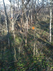 51196DEF-22F9-4C3B-AF82-1C3E1B8283DF