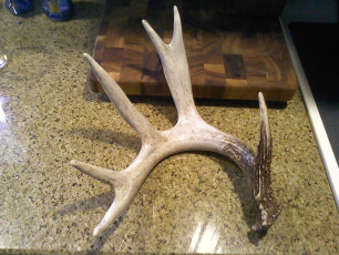 512B0325-8FCC-41A0-A4CA-5B55C719768C