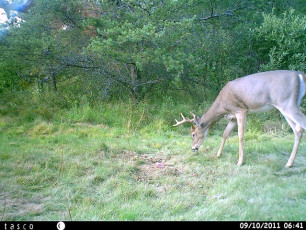 51D99F8C-9FC8-42BF-A8FA-0E71A4059C7C