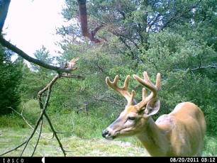 52879457-A9AF-425A-9847-A201C3C5E290