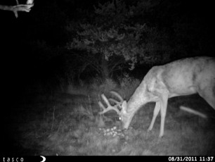 587B0C77-0F15-4D58-9BDE-C94E3B7BB4C5